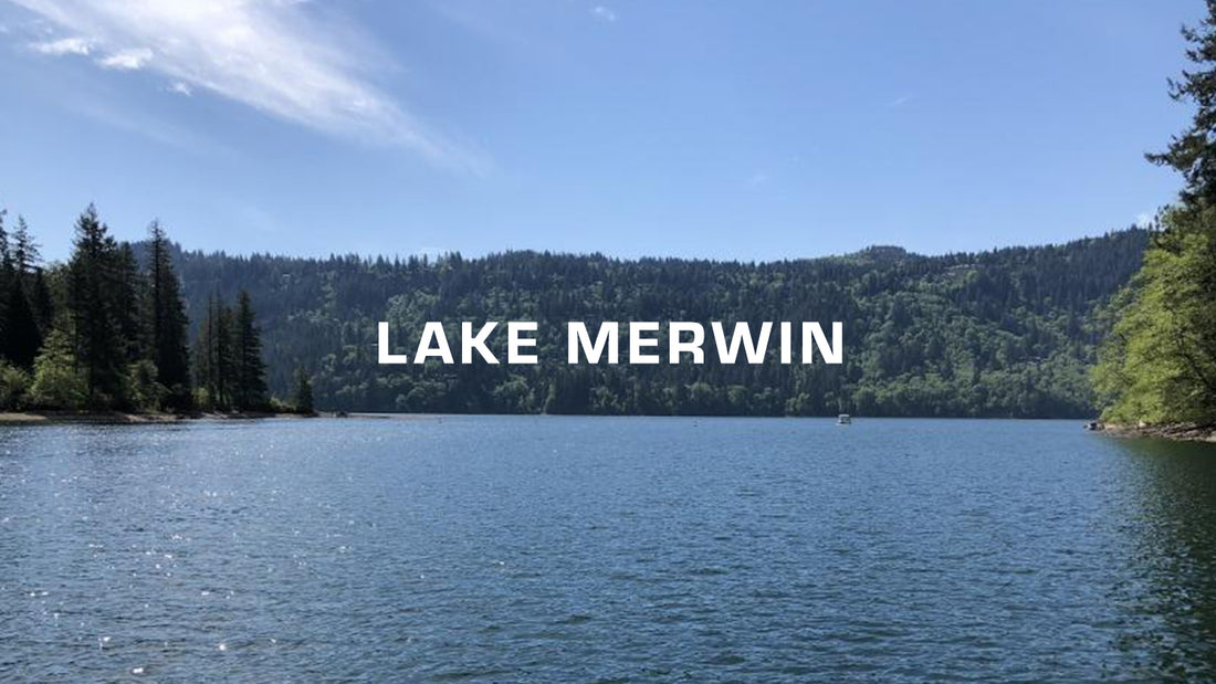 Lake Werwin (Washington)